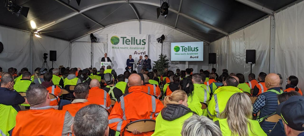 TELLUS